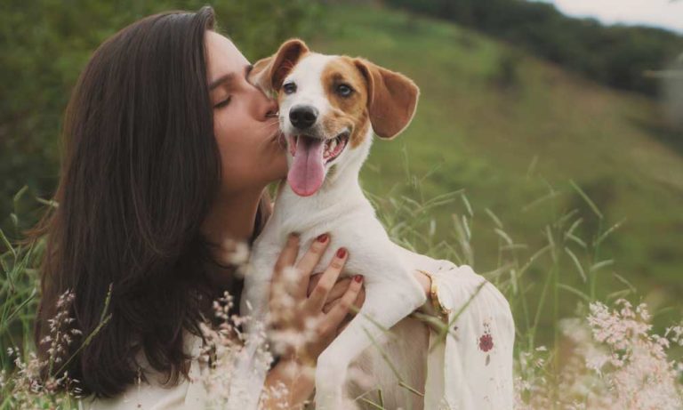 Beneficios que tienen las mascotas para la salud