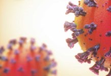 Covid-19 y disautonomía Covid-19 y disautonomía